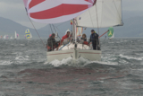 pandanova k1092t whw12 wed gjmc 2528